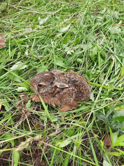 Biodiversität überall