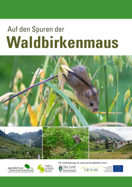 Waldbirkenmaus_Broschuere