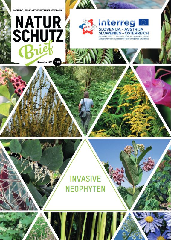 Die aktuelle Ausgabe