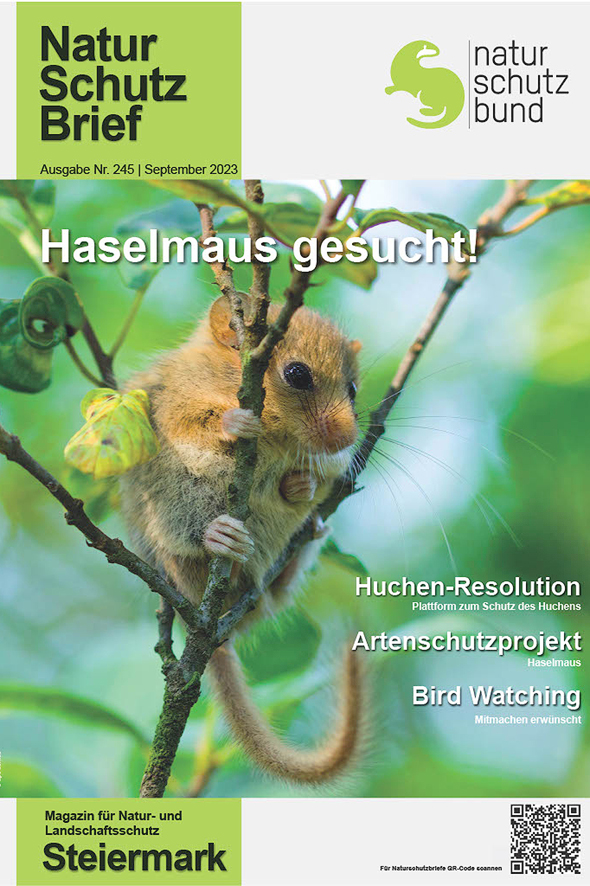 Die aktuelle Ausgabe